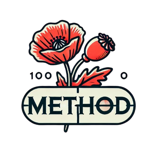 meth0d logo